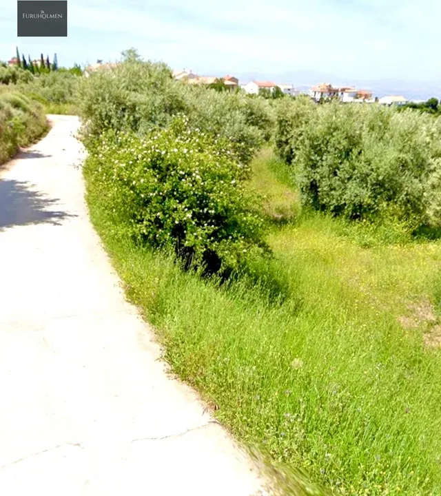 NIVAR - FINCA DE OLIVOS — 8