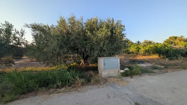 ¡OPORTUNIDAD DE PARCELA EN CARRETERA DE DOLORES CERCANA AL R - foto 2