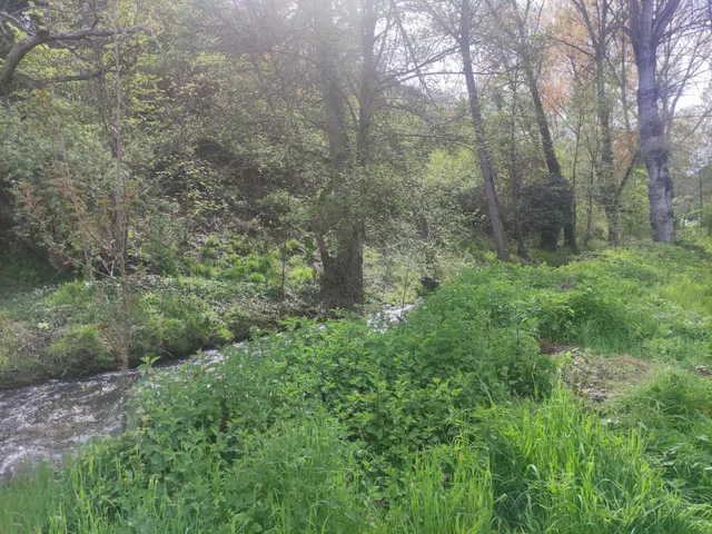 OPORTUNIDAD , CASA DE PIEDRA CON TERRENO A LADO DEL RIO EN SAN ESTEBAN DE VALDUEZA — 42