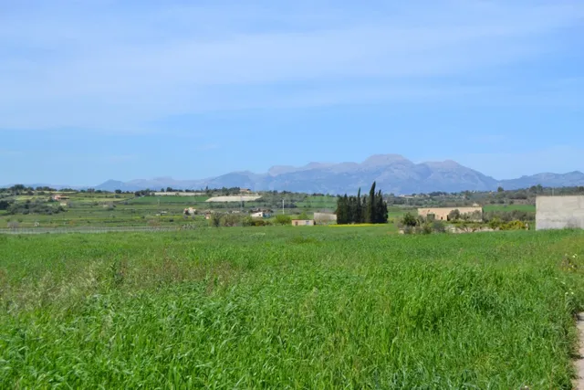 Finca rústica en venta en Santa Margalida. - foto 4
