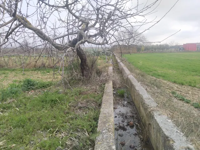 Terreno Urbano y Rustico - foto 5