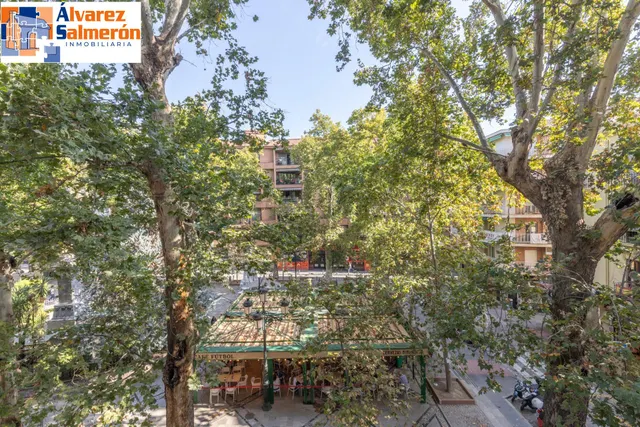 Piso en esquina con terraza y vistas a Plaza Mariana Pineda, Granada — 28