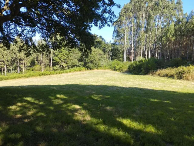 Finca rústica en Begonte, Lugo. - foto 4