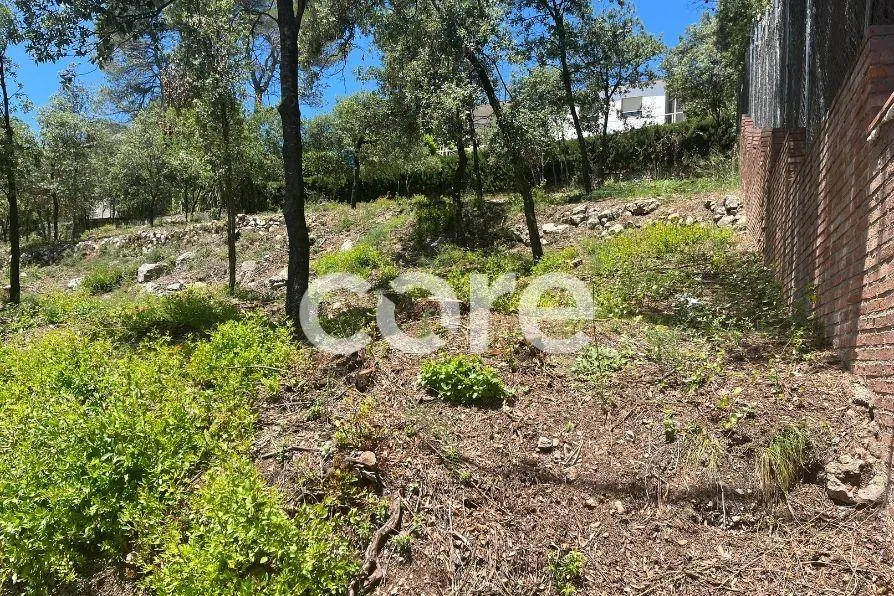 Las mejores parcelas de Sant Feliu del Racó
