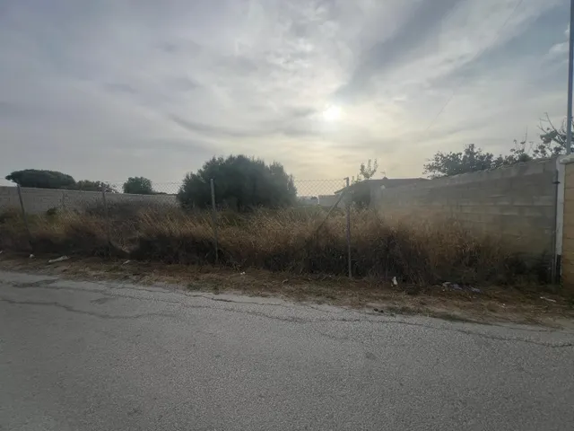 Parcela segregada en Venta en la Zona del Florín (1.000 m2) — 4