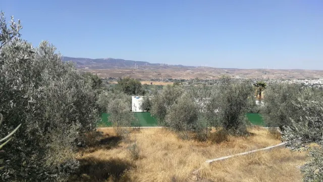 Solar en venta - Padul - foto 3