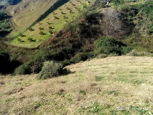 CORTIJO PARA TI Y TUS ANIMALES — 27