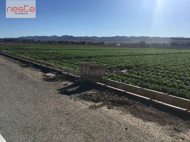 VENTA PARCELAS EN PURIAS