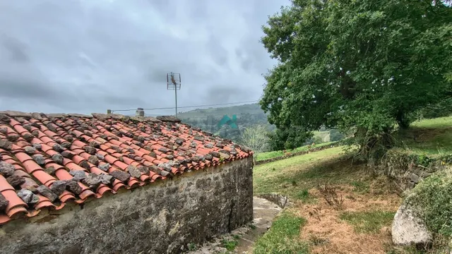 Finca rústica de 29.600 m2 con edificación urbana residencia - foto 3