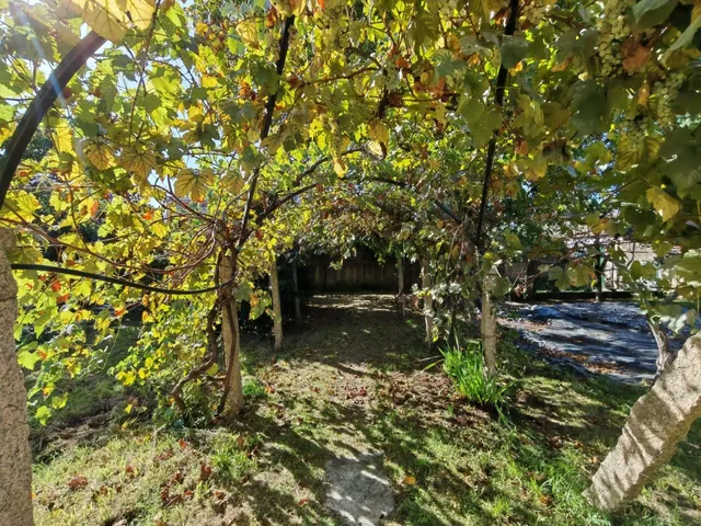 Villa indiana con jardín francés en O Porriño. — 37