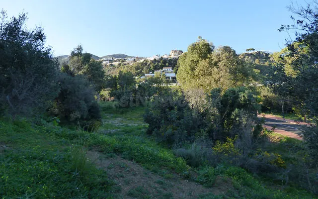 Parcela en venta - Centro — 3