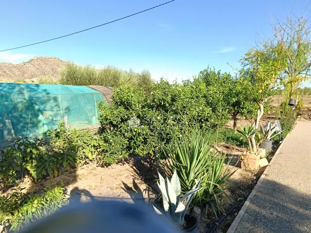 SE VENDE CHALET EN BUEN ESTADO EN ASPE ZONA CARRETERA DE LA ROMANA — 44