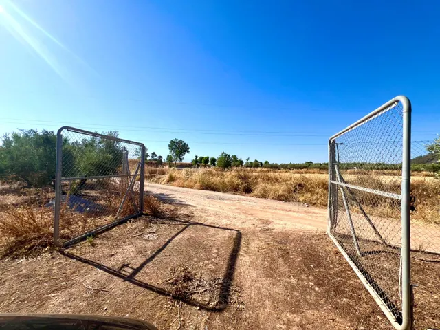 ALBOLOTE - PANTANO CUBILLAS — 26