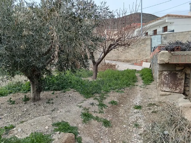 Oportunidad única en Oría (Almería) — 8