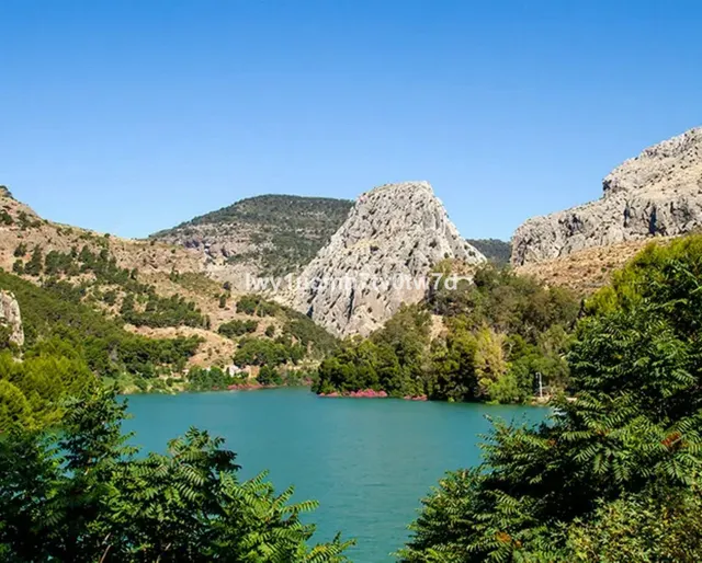 Parcela 503m² en venta - Limonar — 5