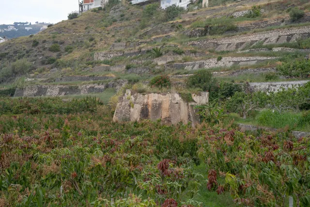 Finca con unas vistas de ensueño en Salobreña — 8