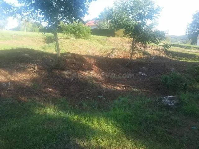 PARCELA URBANA EN GÜEMES - foto 4