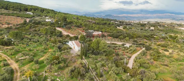 Casa o chalet independiente en  (Alhaurin el Grande) — 40