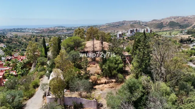 Parcela 3000m² en venta - El Madroñal - foto 2