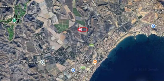 Venta de casi 20 000 m2 de terrenos agrícolas en San Juan de - foto 3