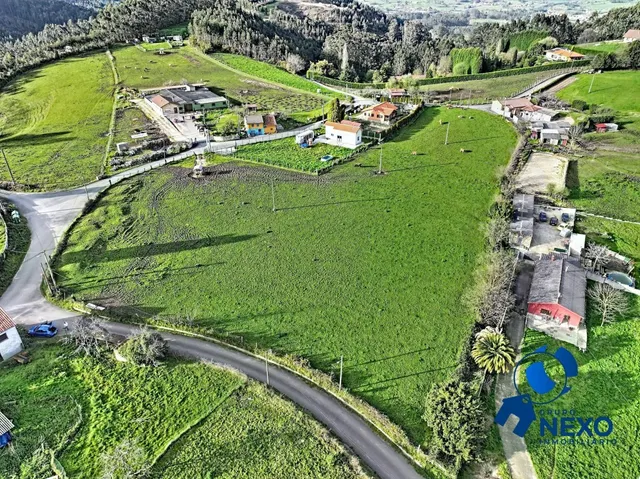 Finca edificable y parcelable en el gallinal | vistas al valle, casa de piedra y gran potencial — 10