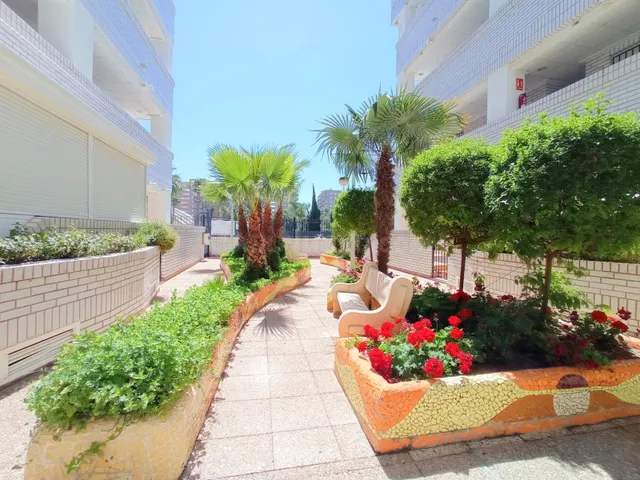 Apartamento en alquiler - MArina D´Or - foto 3