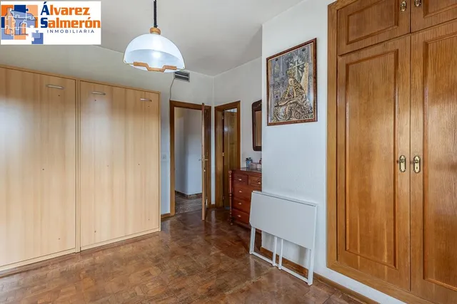 Pisazo en paseo del salón - Granada — 24