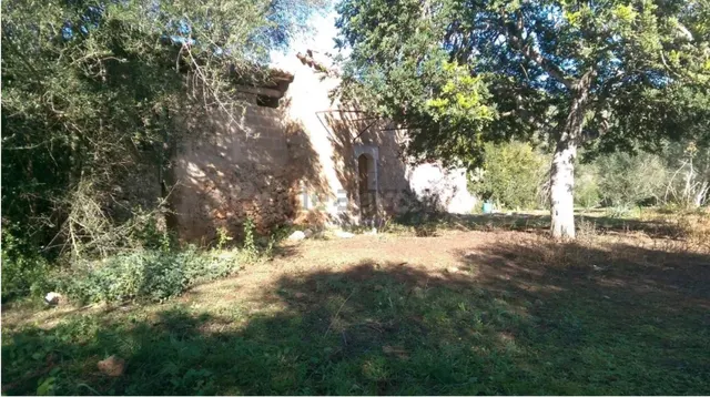 Finca Rústica con caseta de aperos - foto 4