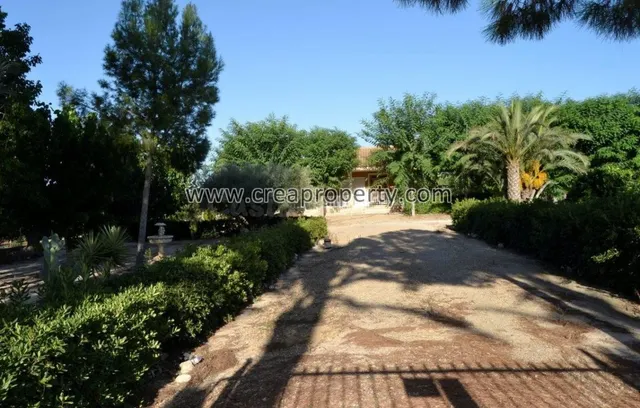 Excelente Finca con caballerizas en El Palmar (Murcia) - foto 3