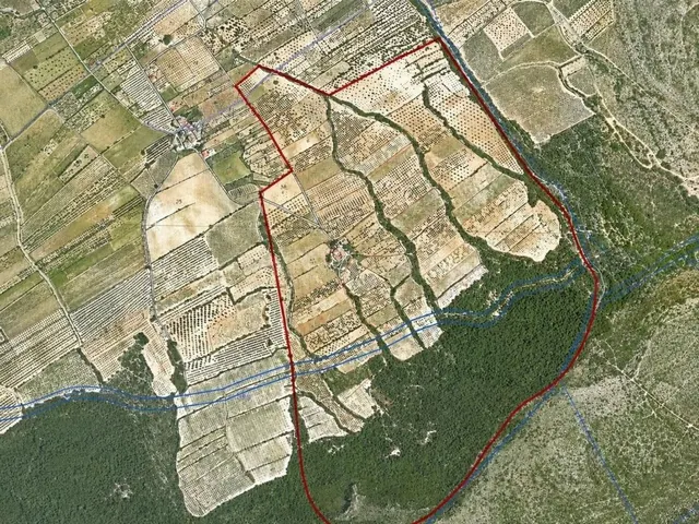 Casa de campo 10 habitaciones 1000m² en venta - Villena — 5
