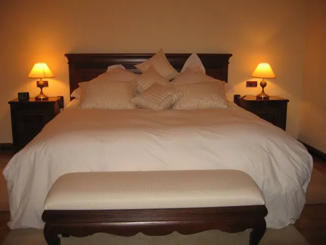Chalet en Camí Els Presos - Ontinyent — 24