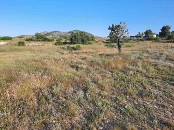 Terreno en la Alquebla — 6