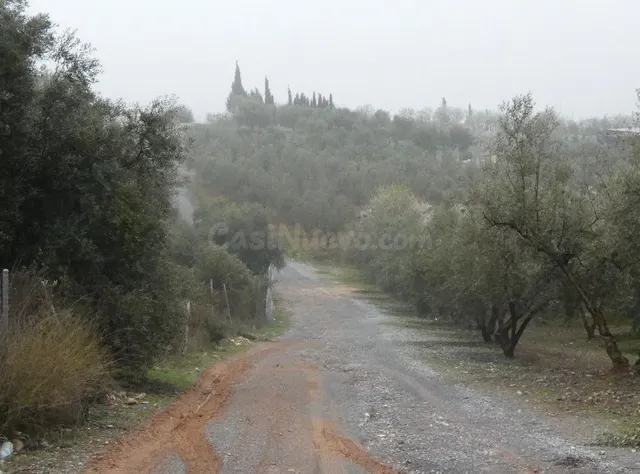 Finca rústica en Peligros – Ideal inversión o explotación agrícola — 5