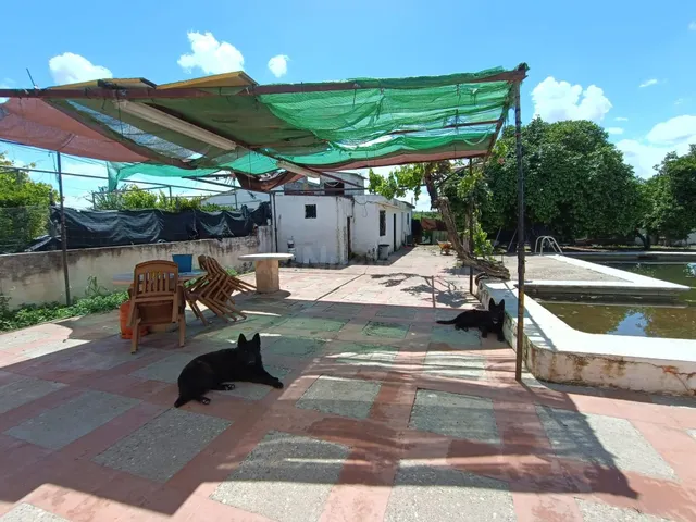 Parcela rustica con casa en las Quemadas¡¡¡¡¡¡ - foto 3