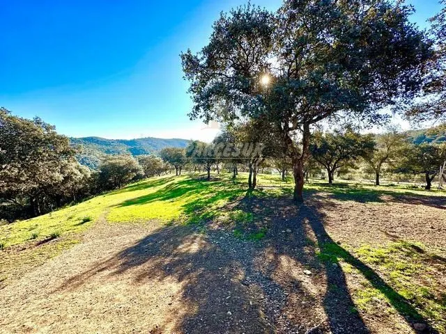 OBEJO - Finca de 8 hectáreas con casa de 110 m2 con 4 habita - foto 3