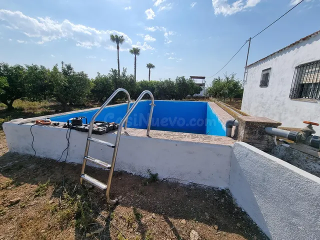 Finca Rústica con Producción de Naranjas en Vinarós - Oportu - foto 5