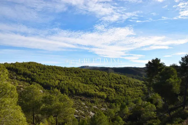 DOS TERRENOS CONTIGUOS EN PLENA NATURALEZA — 11