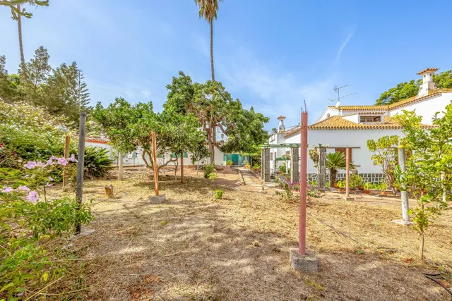 Casa con encanto en tafira, amplia parcela y construcciones auxiliares — 12