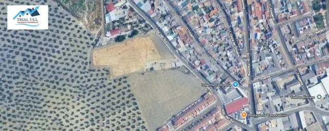 Venta de chalet en Bujalance - Córdoba - foto 3