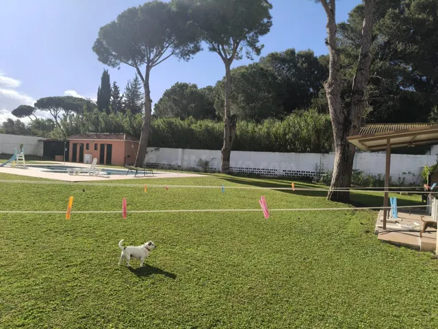SE VENDE CHALET ADOSADO EN CHICLANA, ZONA PINAR DE LOS FRANC - foto 5