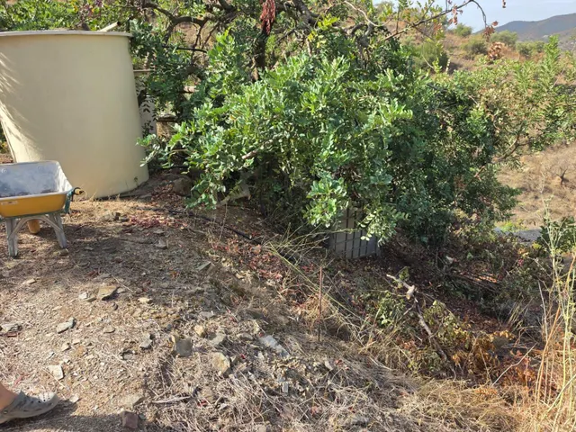 CASA CAMPO CON TERRENO DE 1 HECTAREA EN TOTALAN — 16