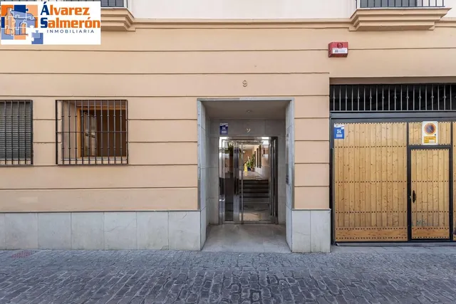 Dúplex en nueva de la virgen - Granada — 27