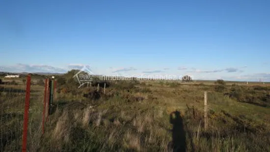 Se vende Finca en la Carretera de Badajoz - foto 4