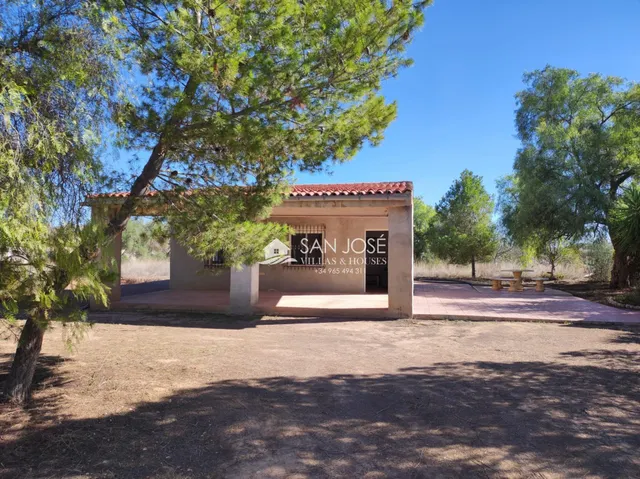 VENTA DE CHALET EN ASPE, ZONA CAMINO VIEJO DE HONDÓN — 34