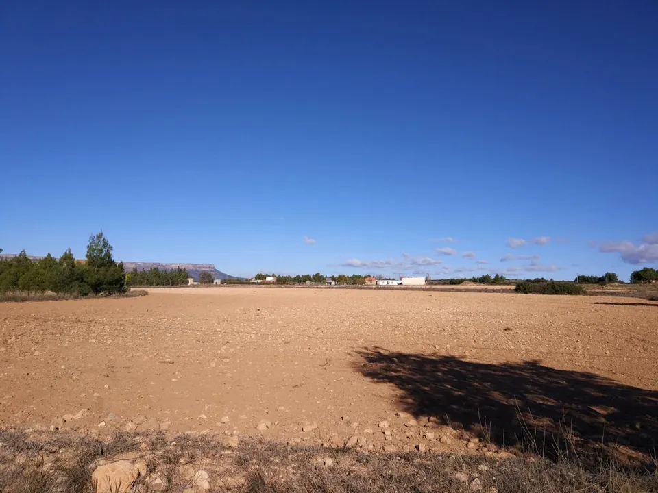 PARCELA EN EL "PARAJE DE SUGEL"