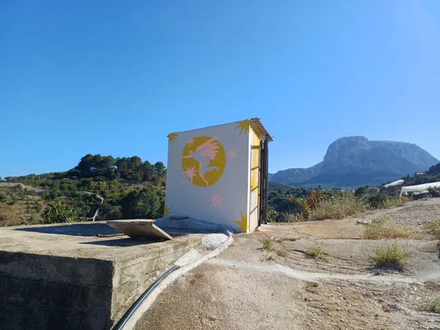 PARCELA DE TERRENO CON CASA CONSTRUIDA Y ARBOLES FRUTALES — 33