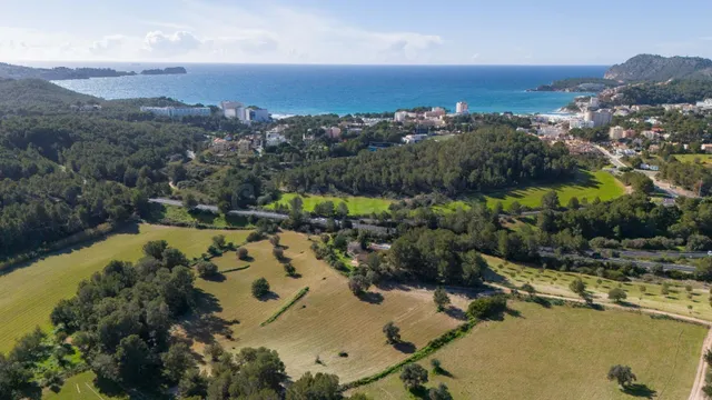 Finca rústica con licencia vacacional en Peguera - foto 3