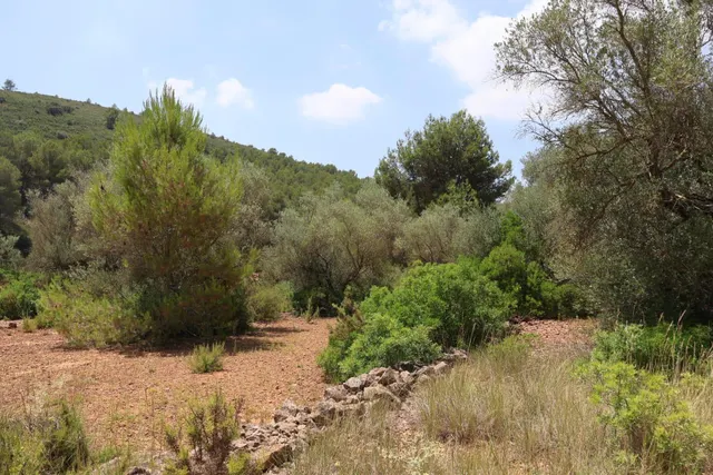 MASIA RUSTICA EN DOS HECTAREAS DE TERRENO ZONA POU DE BECA — 33