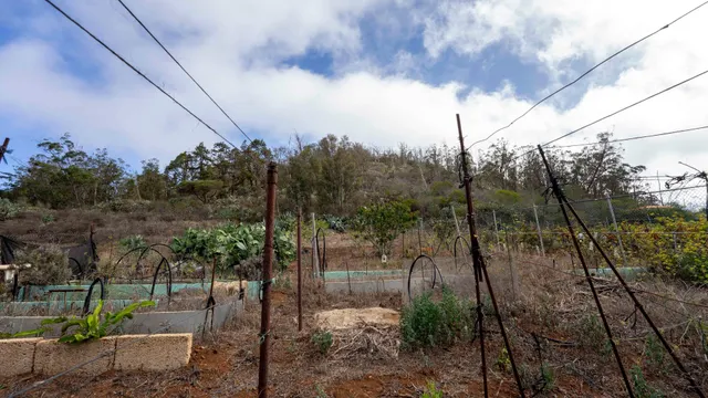 Terreno urbano en Tacoronte. — 42