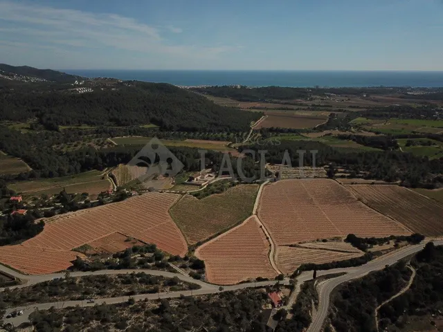 Finca rústica con dos casas a cinco minutos de Sitges. — 7
